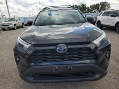 Toyota RAV4 XLE Hybrid 2024 1