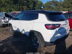 Jeep Compass Trailhawk 2022 7