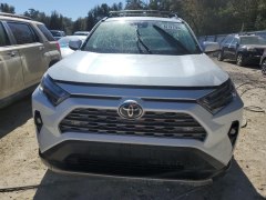 Toyota RAV4 Limited 2024 1