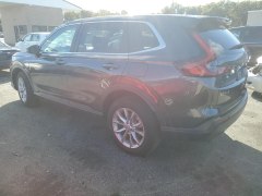 Honda CR-V EX-L 2024 5