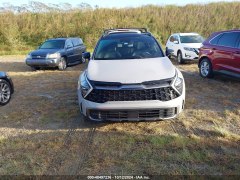 KIA Sportage X-Pro 2024 2