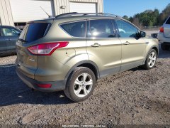 Ford Escape SE 2013 4
