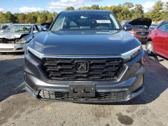 Honda CR-V EX-L 2024 1