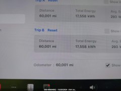 Tesla Model Y Performance 2021 12
