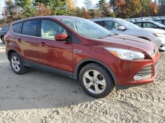 Ford Escape SE 2014 2