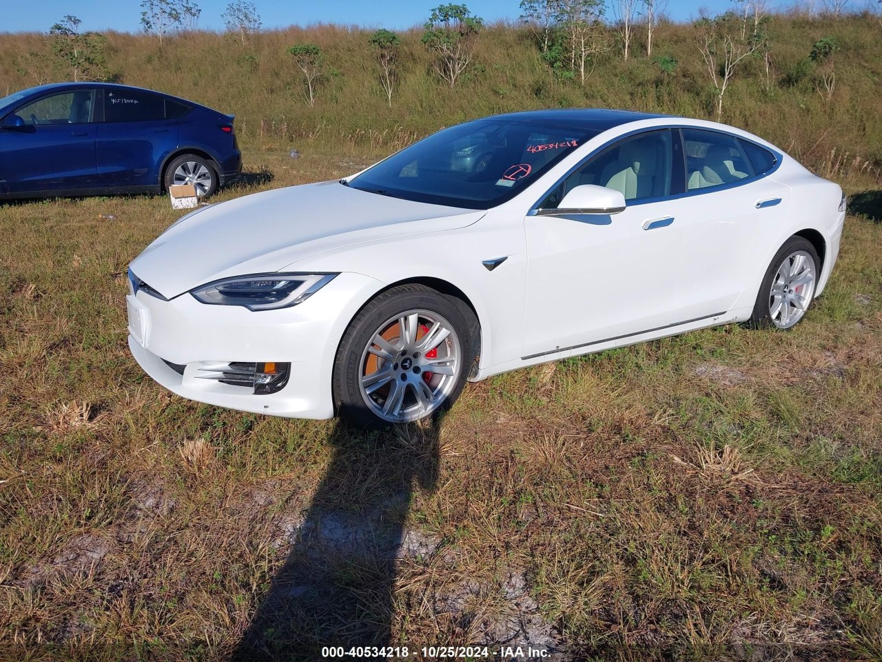 Tesla Model S Performance 2021 0 Tesla Model S Performance 2021 0