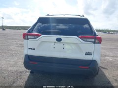 Toyota RAV4 XLE Hybrid 2023 6