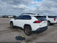 Toyota RAV4 XLE Hybrid 2023 7