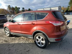 Ford Escape SE 2014 5