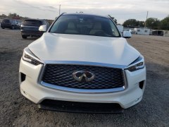 Infiniti QX50 Autograph 2020 1