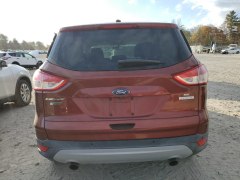 Ford Escape SE 2014 4