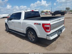 Ford F150 Platinum 2021 6