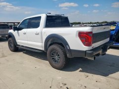 Ford F150 Raptor 2024 5