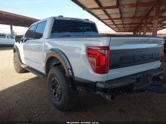 Ford F150 Raptor 2025 5